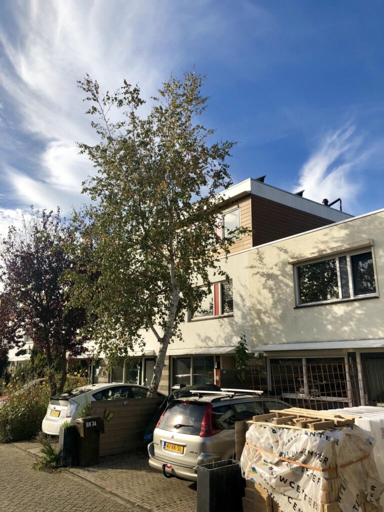 Tussenwoning – 1991, Leiden