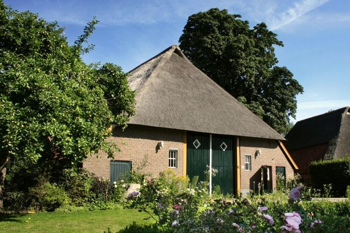 Boerderij met rieten dak in Vorden
