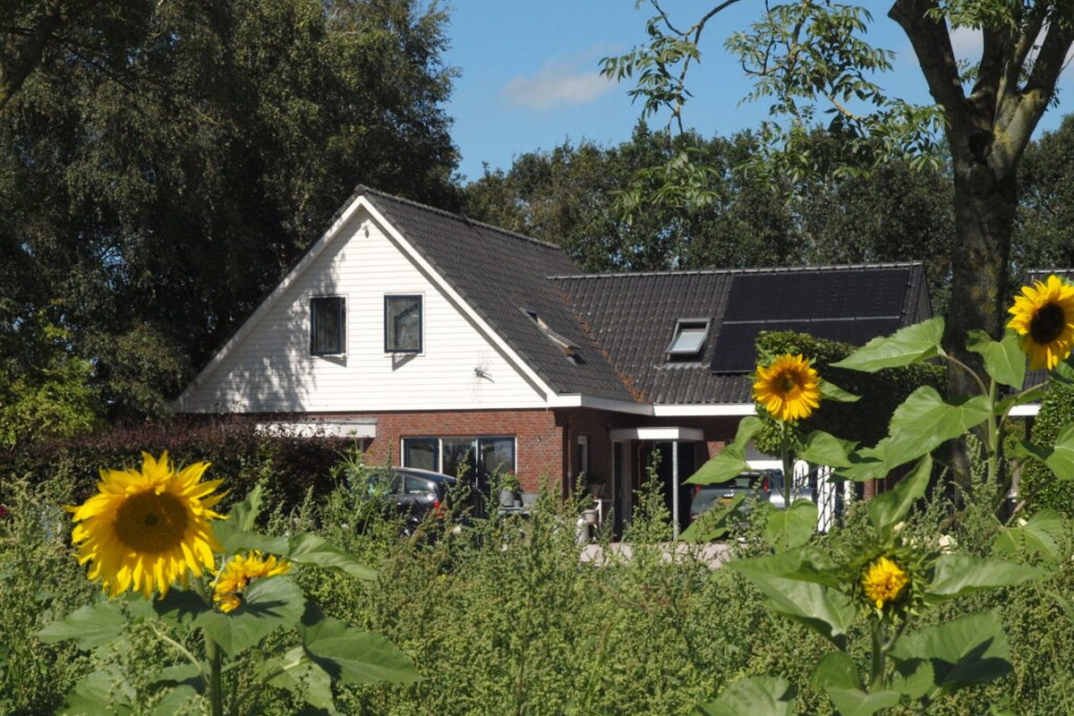 Vrijstaande woning uit 2006 in Wijdewormer met zonnebloemen in de voortuin