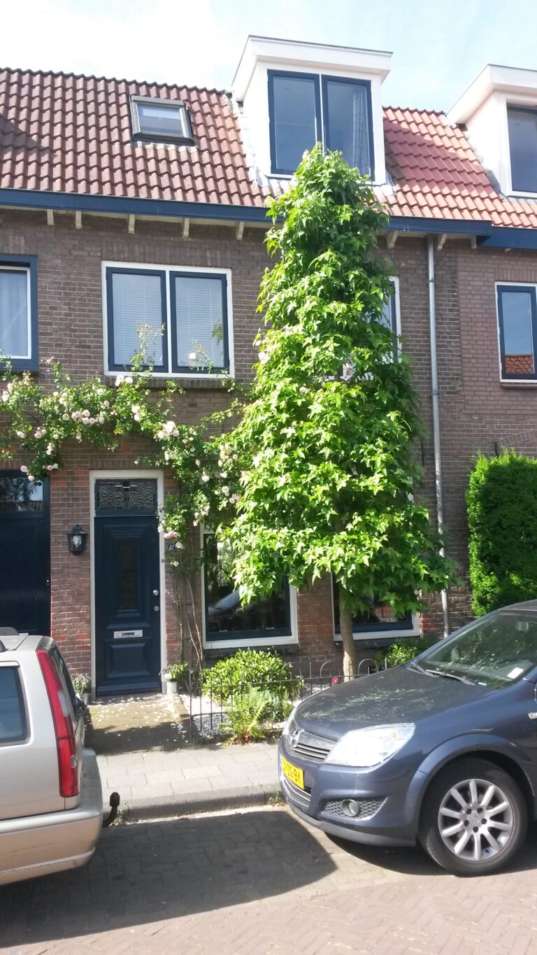 Westerstraat 41