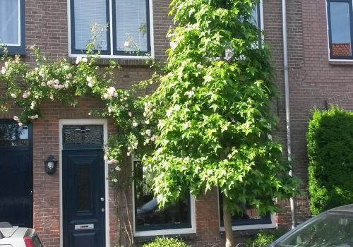 Westerstraat 41